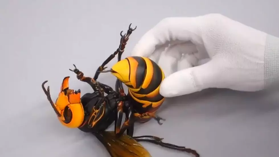 There&#8217;s a &#8216;Murder Hornet&#8217; Toy