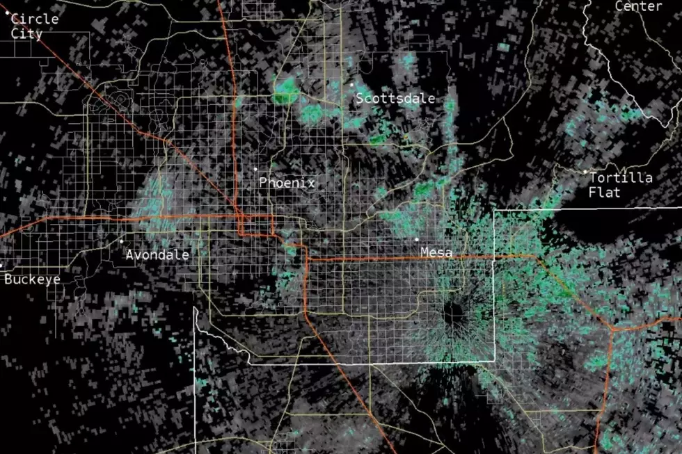 Radar Shows Enormous Colony of Bats Emerging at Dusk
