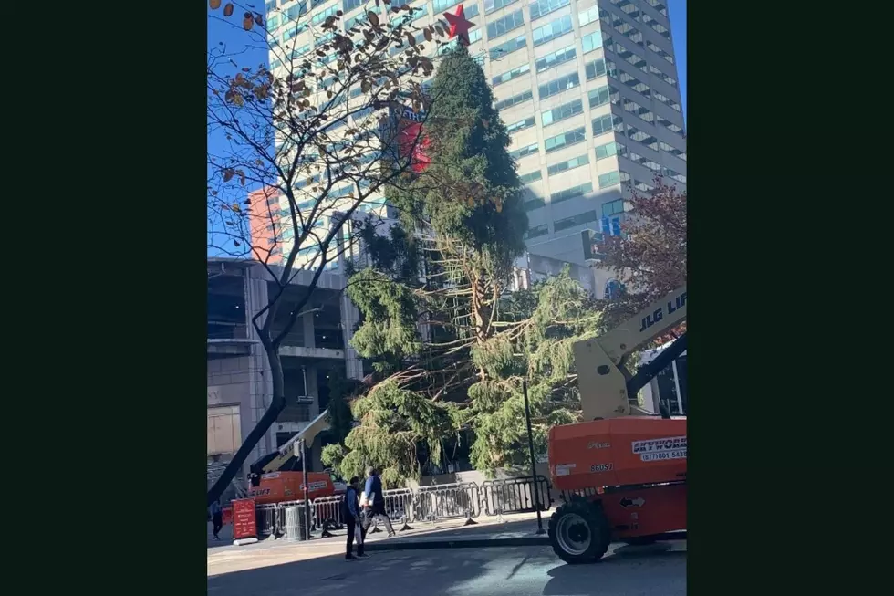 Cincinnati Has a ‘Charlie Brown Christmas Tree’