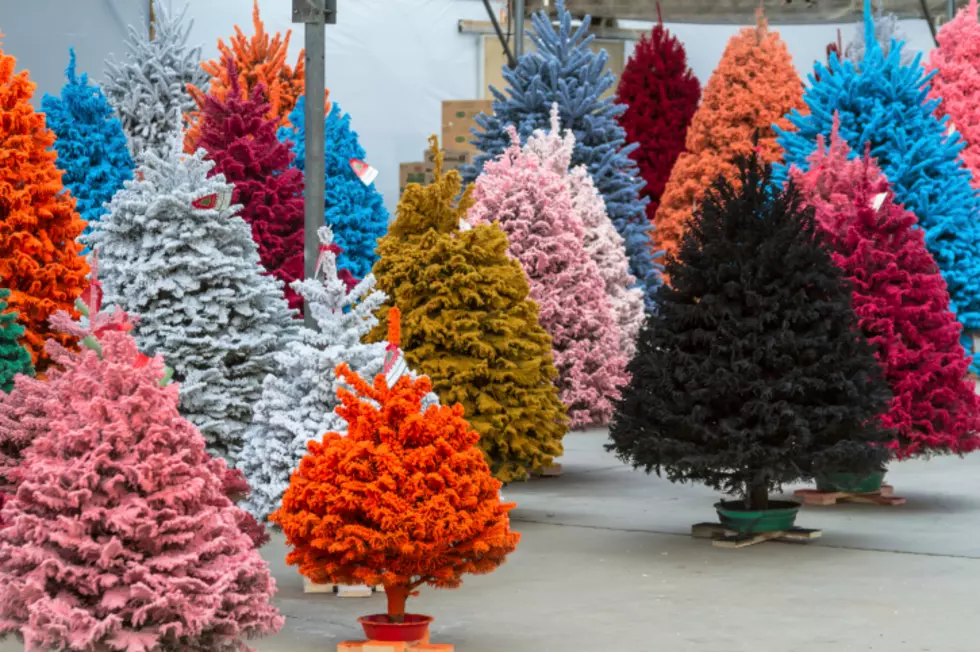 Christmas Trees - Do You Prefer Real Or Artificial?