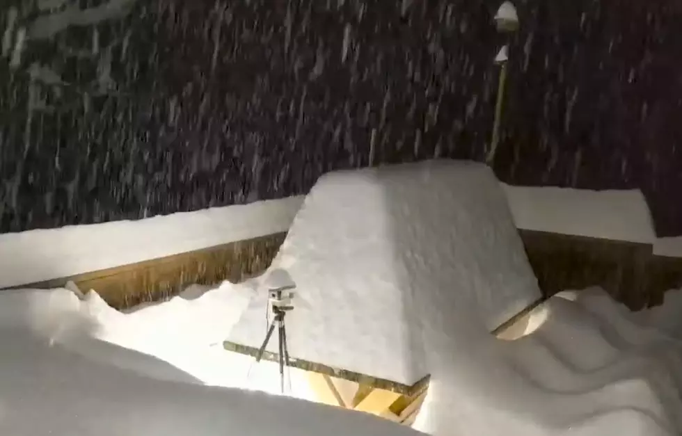 Parts of New York Buried Under 44&#8243; of Snow! (Photos/Video)