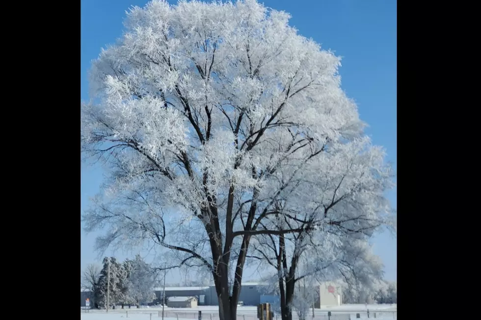 What is &#8216;Rime Icing?&#8217; [Photo Gallery]