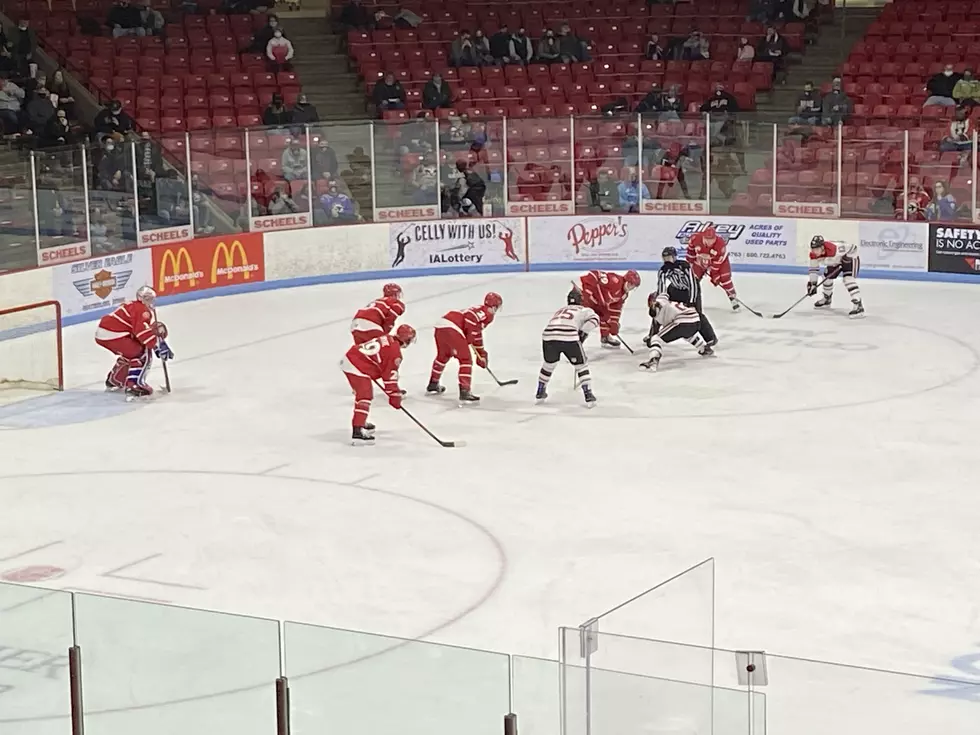 Black Hawks Fought Hard Against The Fighting Saints-Lose 4-1 Friday Night