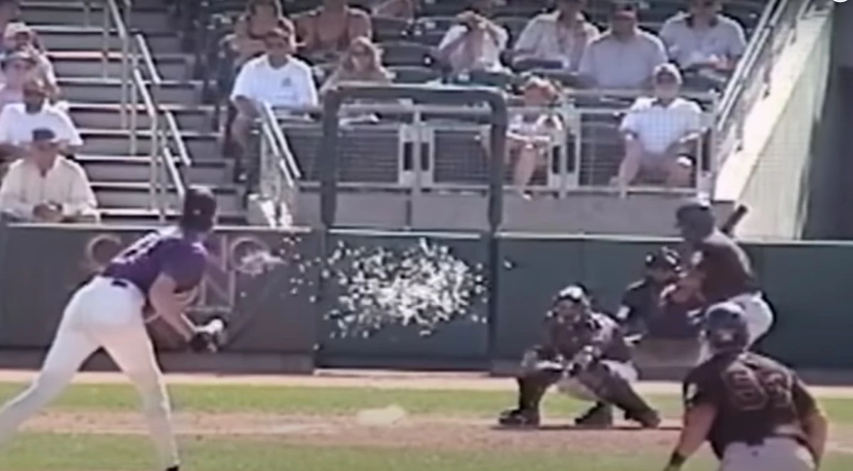 20 Years Ago Today: Randy Johnson Destroyed a Bird With A Fastbal