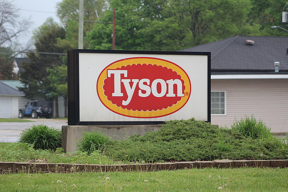 Tyson Foods Selling Independence Plant, Pet Treats Business