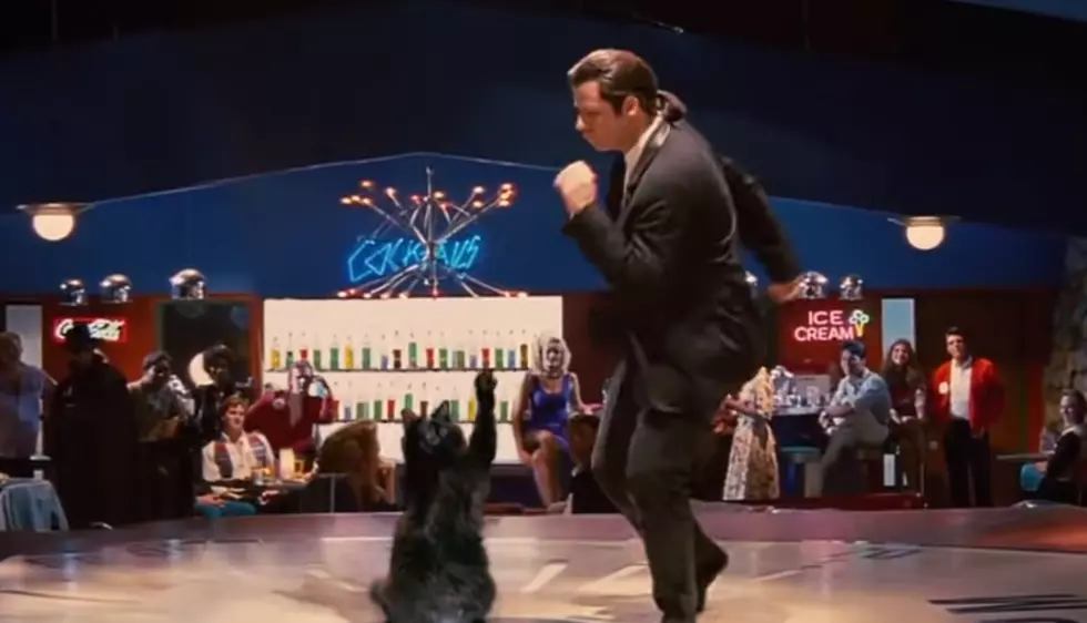 Man Edits His Cat into Hollywood Movies (VIDEOS)