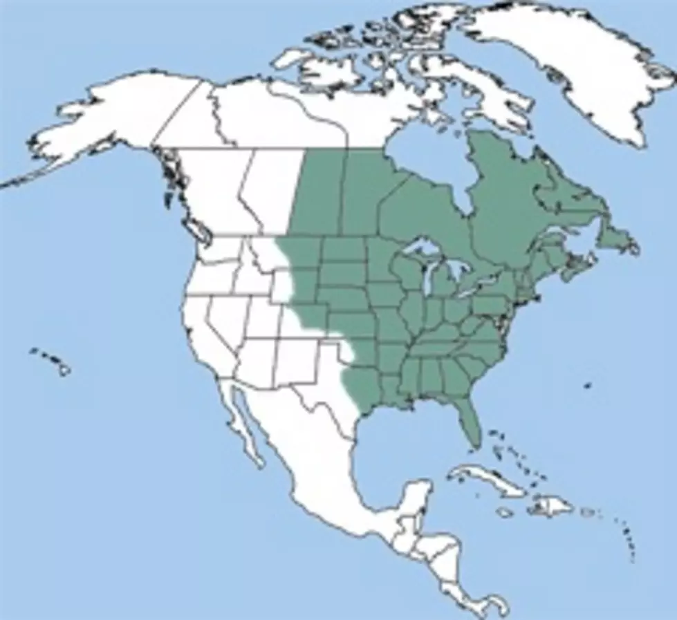 nhpbs.org