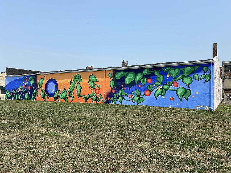 Peacock Arts District Mural Program