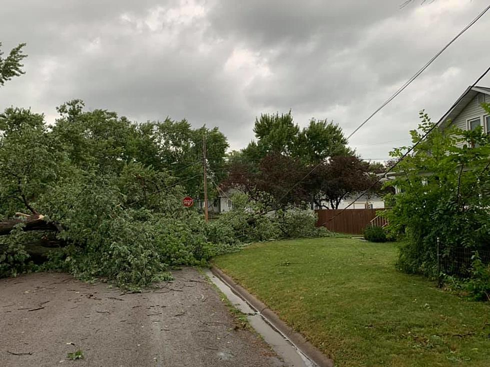 Report: Tornado Touches Down In Waterloo, Clean-up Underway