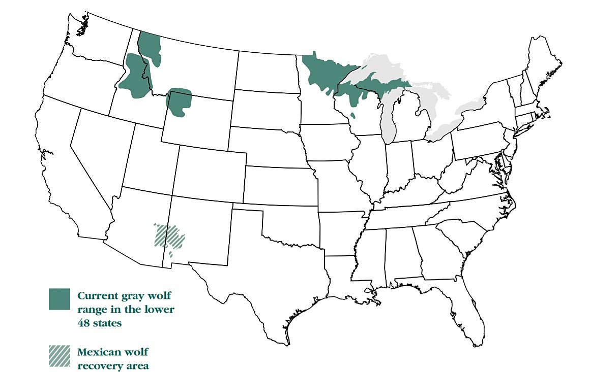 mexican grey wolf map