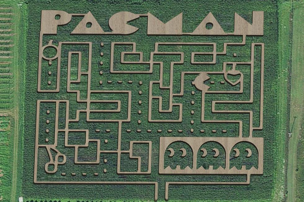 Can You Navigate this Gigantic Pac-Man Corn Maze in Decorah?