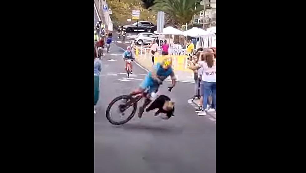 Brutal Cycling Accident at Finish Line Due to a Fan (VIDEO)