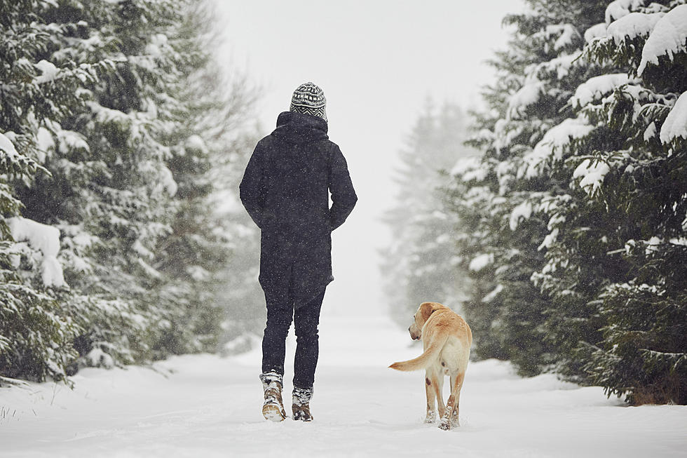 Ring in the New Year by Going Hiking!