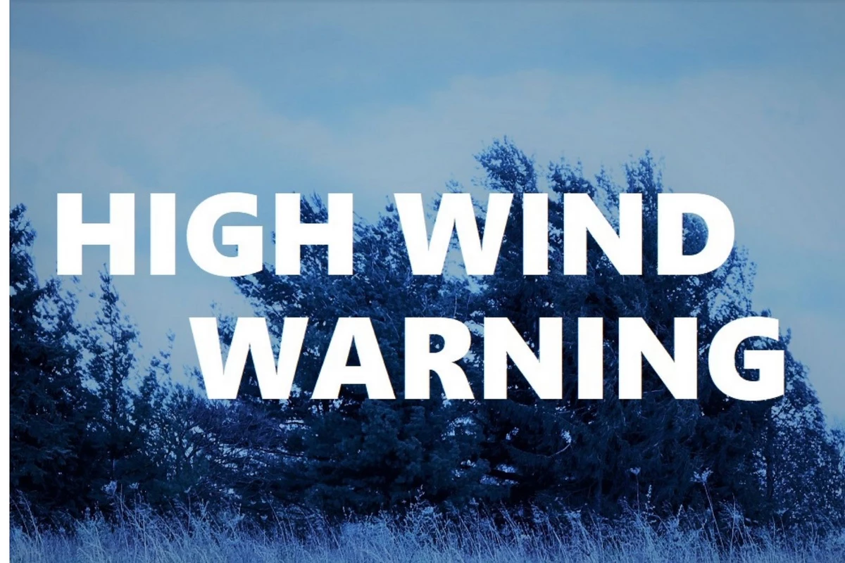 Only ONE County in Iowa is NOT in 'High Wind Warning'