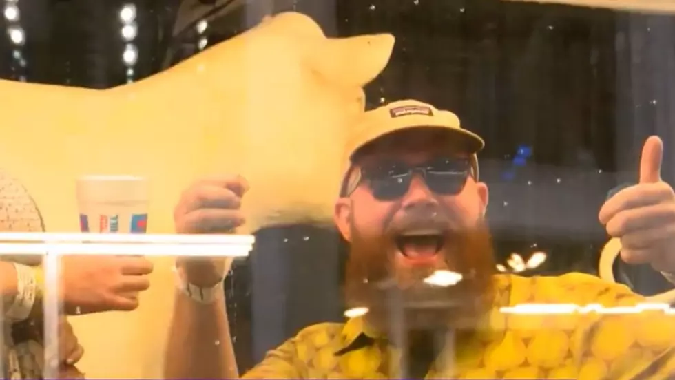Couple Gets Engaged Next to Butter Cow at Iowa State Fair [VIDEO]