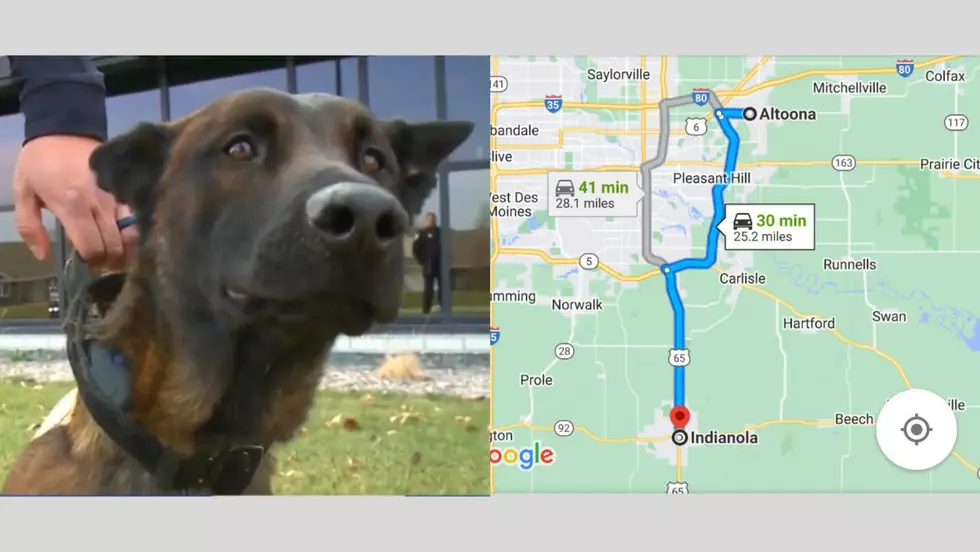 Missing Iowa Police K9 Found&#8230; 25 Miles Away From Station