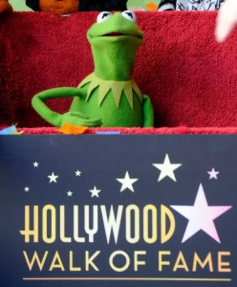 Muppet Movie Outrage (Video) To Funny