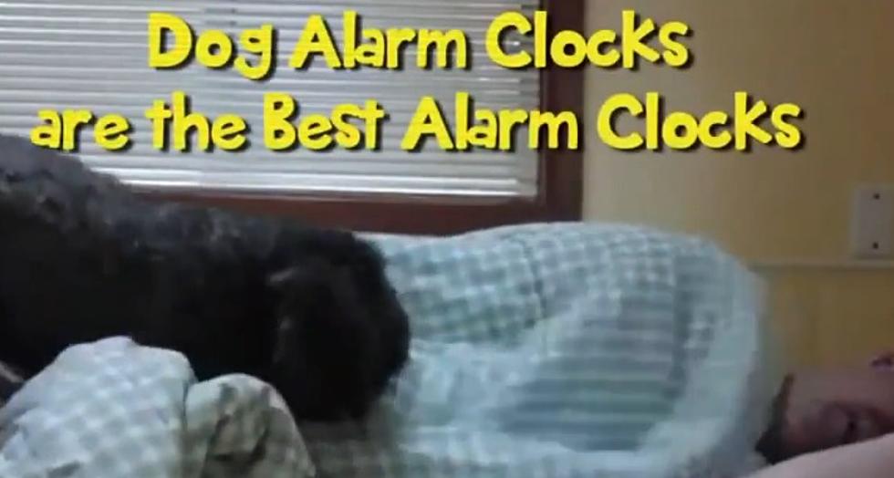 Best Alarm Clocks On The Market