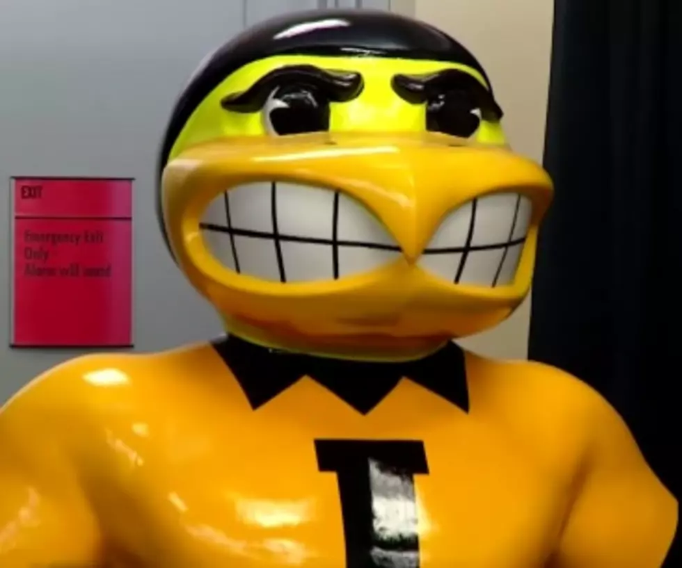 Just Try Not To Laugh At This Herky On Parade Video!