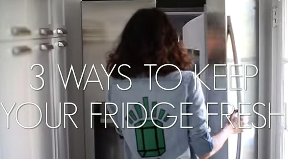 3 Interesting Ways To Freshen Up Your Funky Fridge