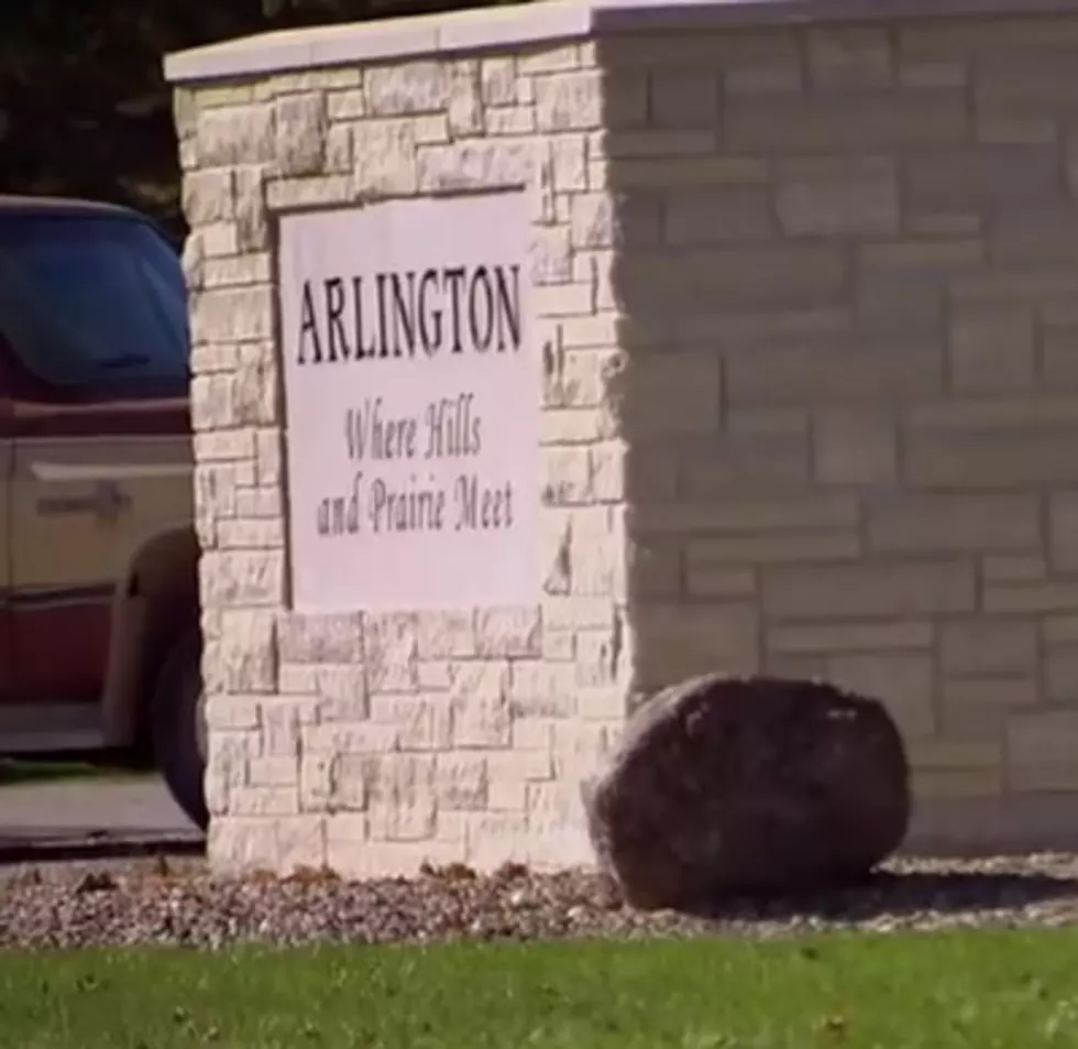 [Video] Women Of ‘The Bachelor’ Visit Arlington, Their Reaction Is Priceless