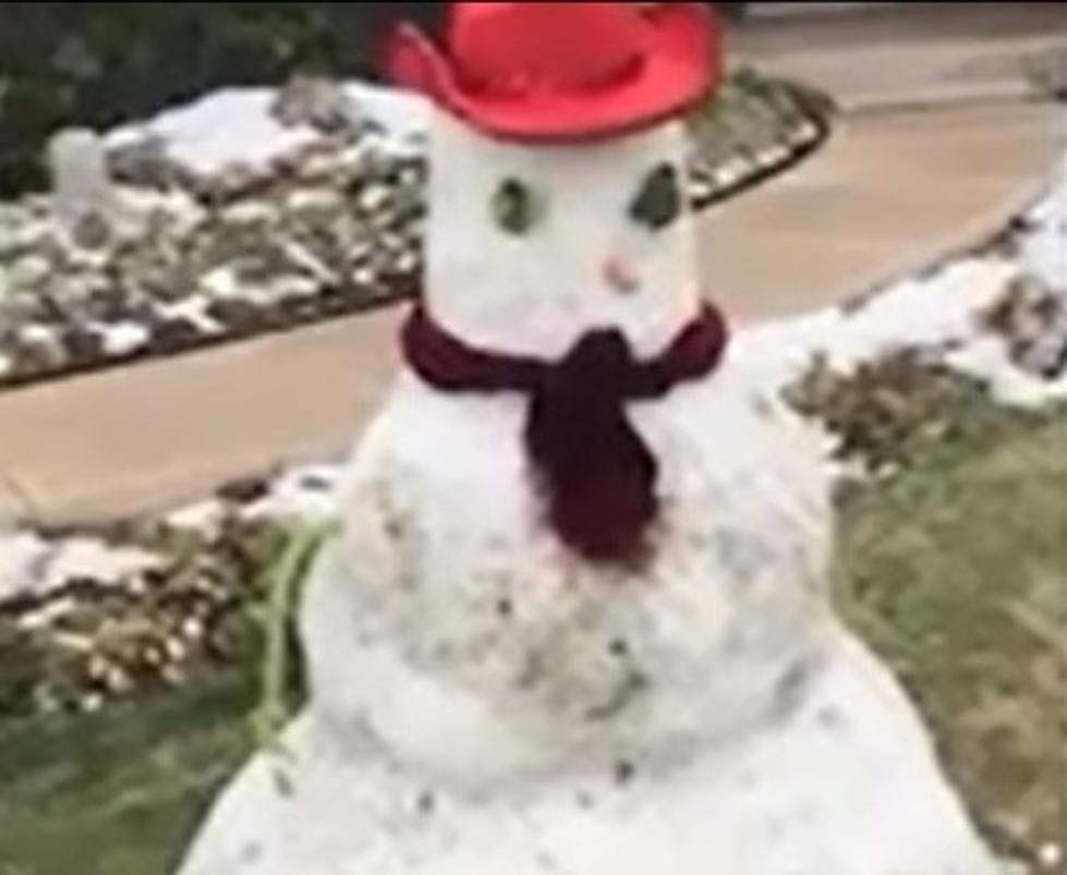 Kid Builds Snowman With A Little Too Much Detail [Watch]