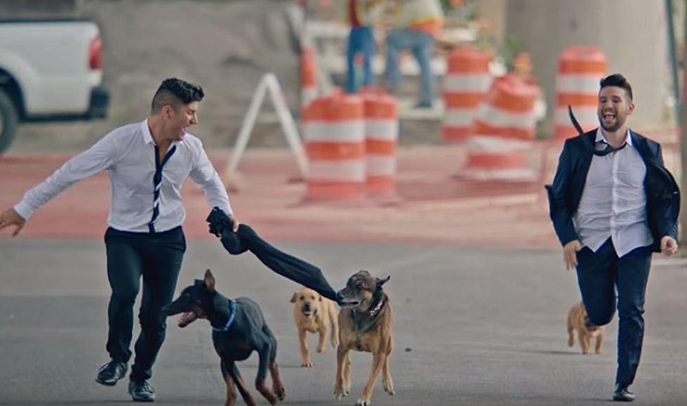 [Video] Dan + Shay’s New Video Captures The Hearts Of All Dog Lovers