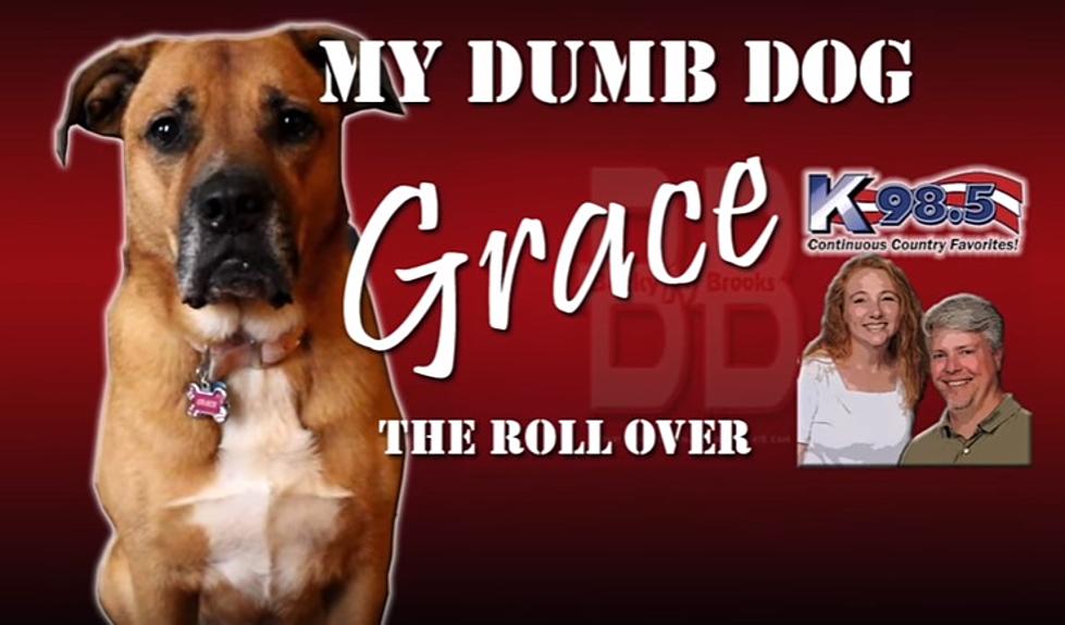 Met Lainie’s ‘Dumb Dog’ Grace