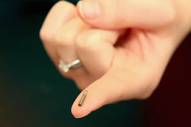Would You Get Microchipped For Your Work?