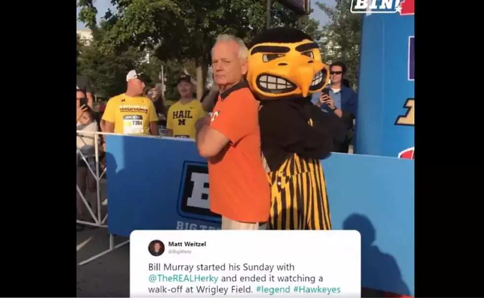Herky the Hawk Got to Hangout with Bill Murray [Watch]