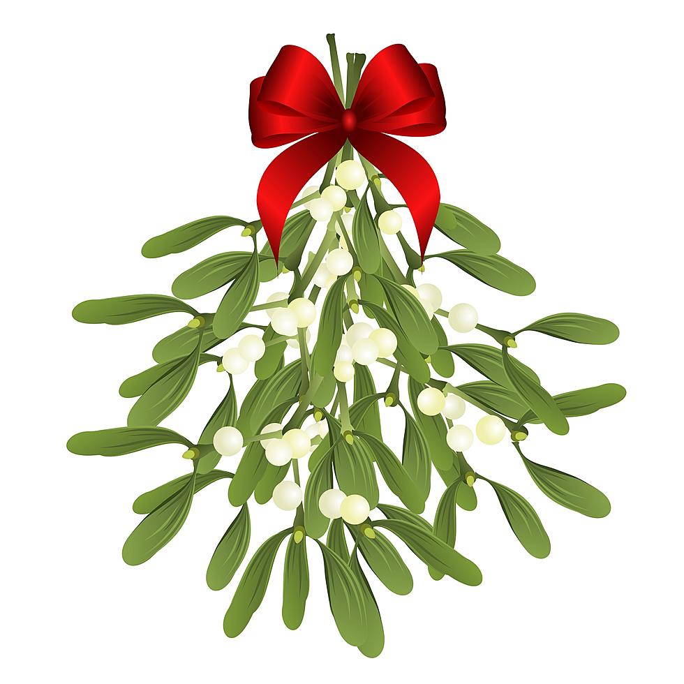 The Good and the Bad of Mistletoe