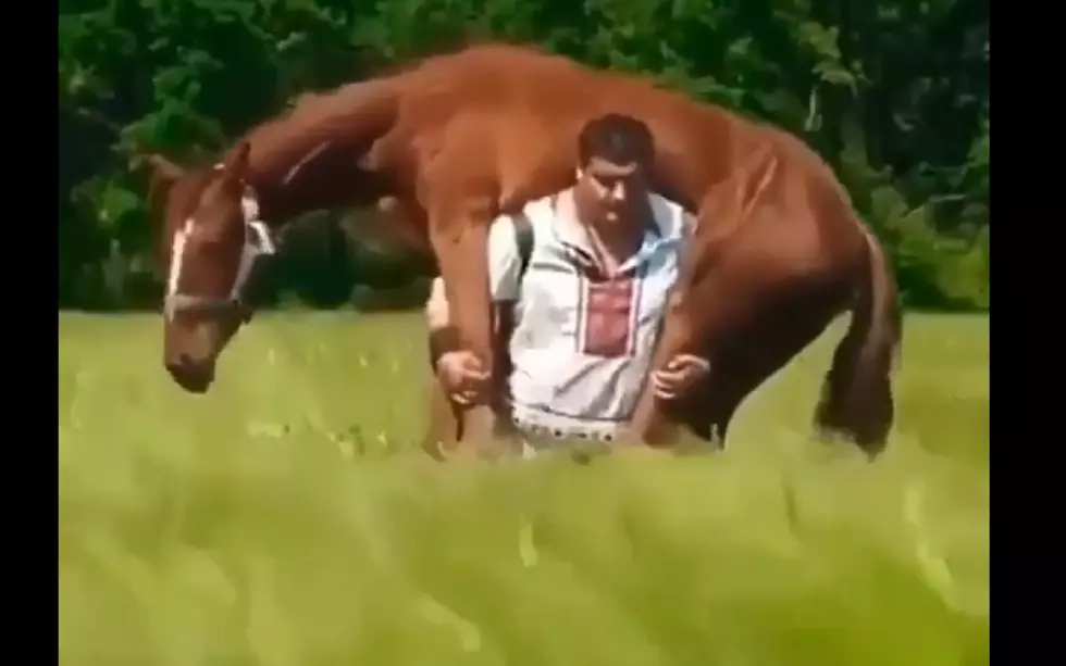 Man Carries Horse for 3 Miles After Snakebite [Video]