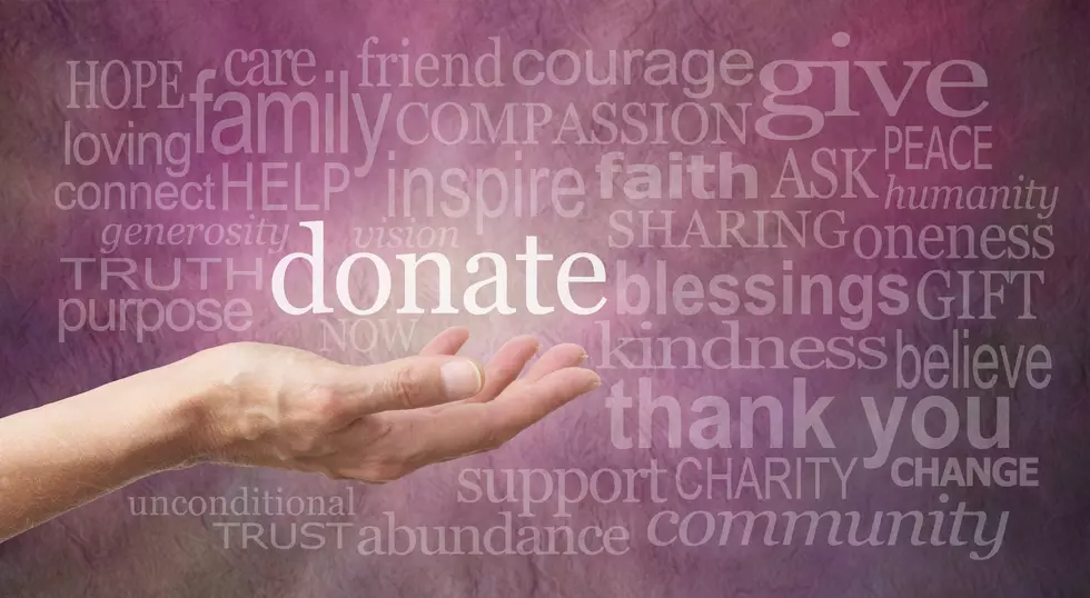 Waterloo Rotary Club Donates $9,000 To Cedar Valley Organizations