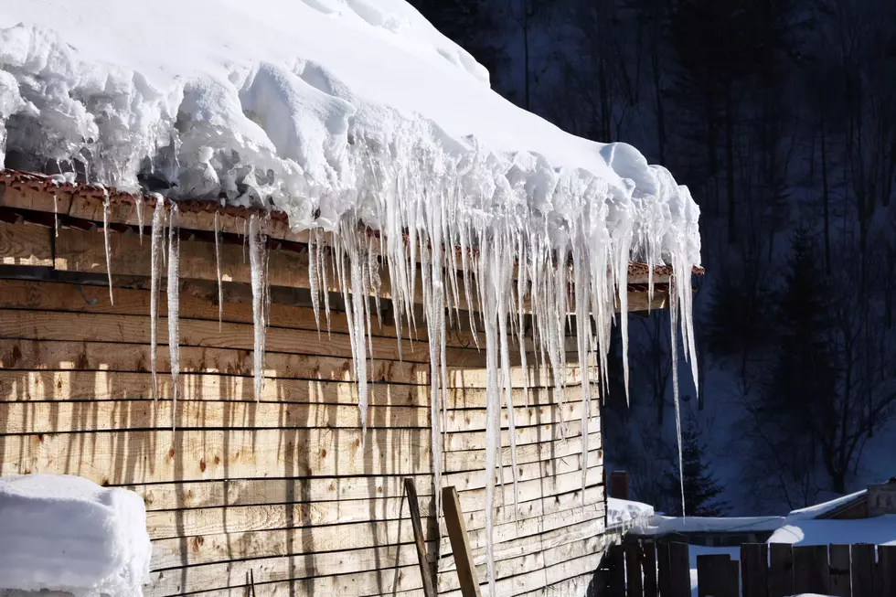 Iowa Meteorologist: If You Eat an Icicle, You&#8217;re Eating Bird Poop