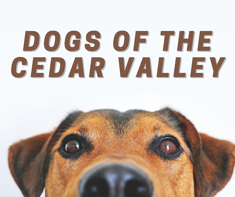 The Dogs Of The Cedar Valley (PHOTOS)