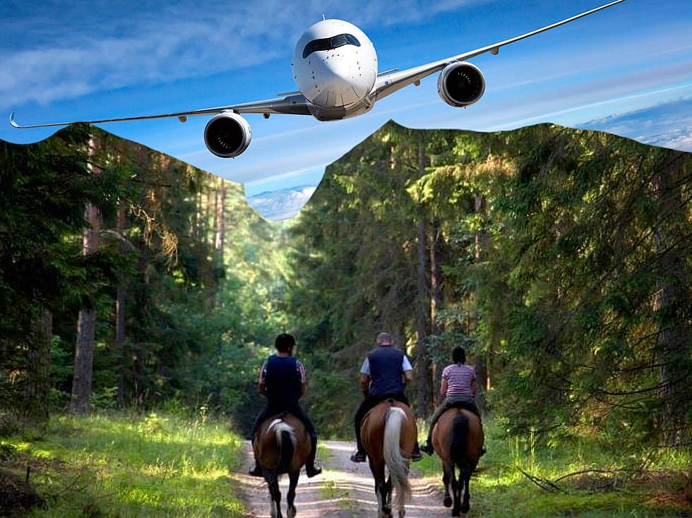 Our Olympic Horses Travel In An Exciting And Unusual way
