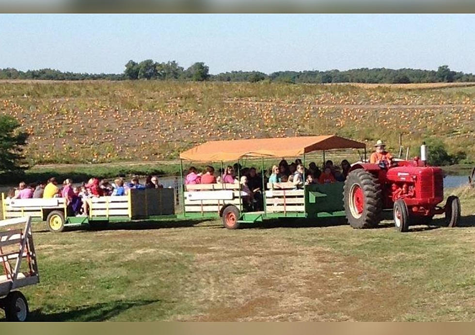 It’s Official! Iowa Has One Of The Best Pumpkin Farms In The Country