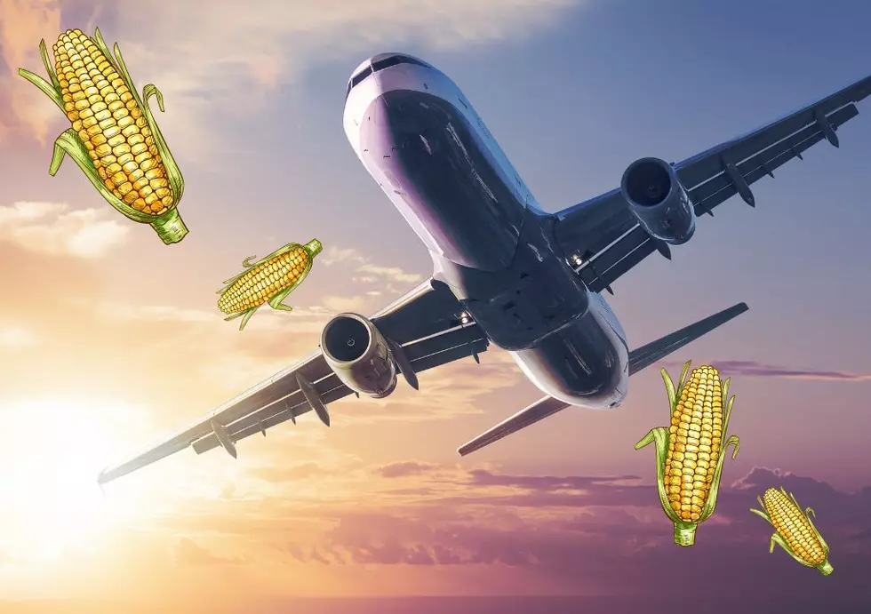 Can I Bring Sweet Corn With Me On A Plane?