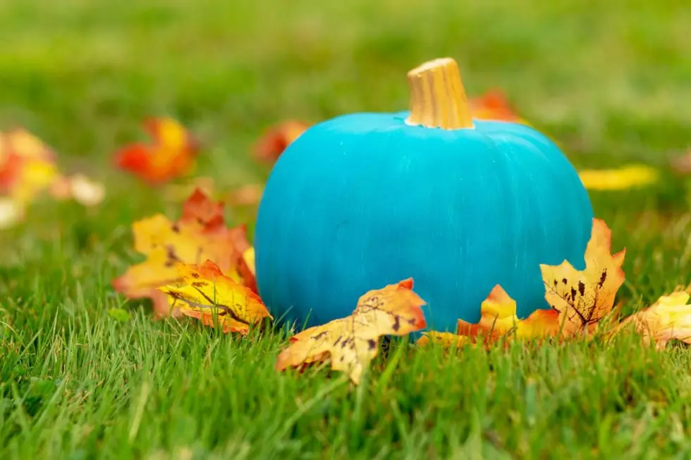 What Does It Mean If You See This Unique Pumpkin in Iowa?