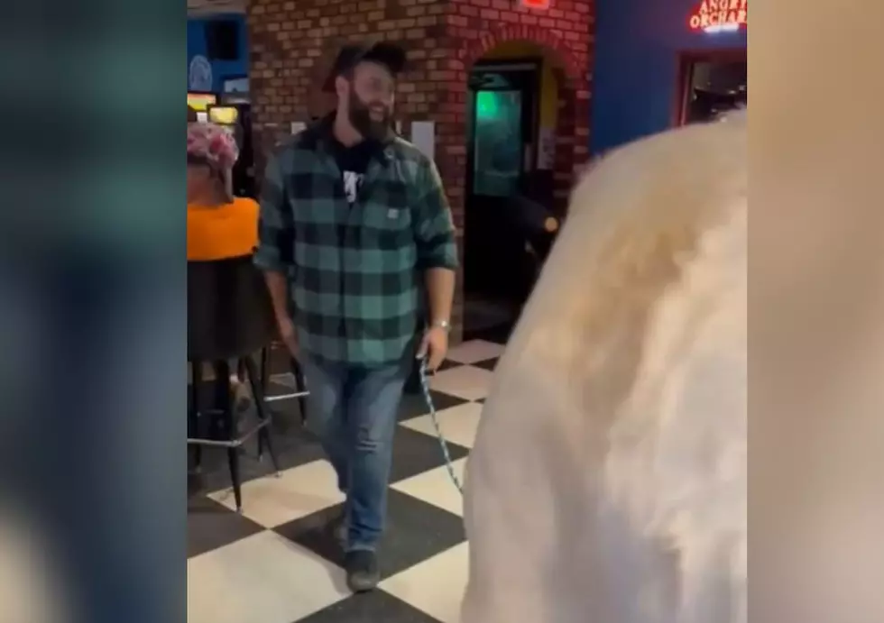 Internet Star Makes Surprise Halloween Appearance At Eastern Iowa Bar