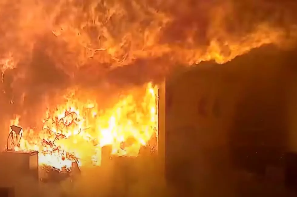 How Fast Can A Dry Christmas Tree Light A Room on Fire? [WATCH]