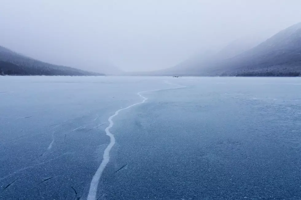 Midwest Horse Falls Through Ice And Becomes Christmas Miracle