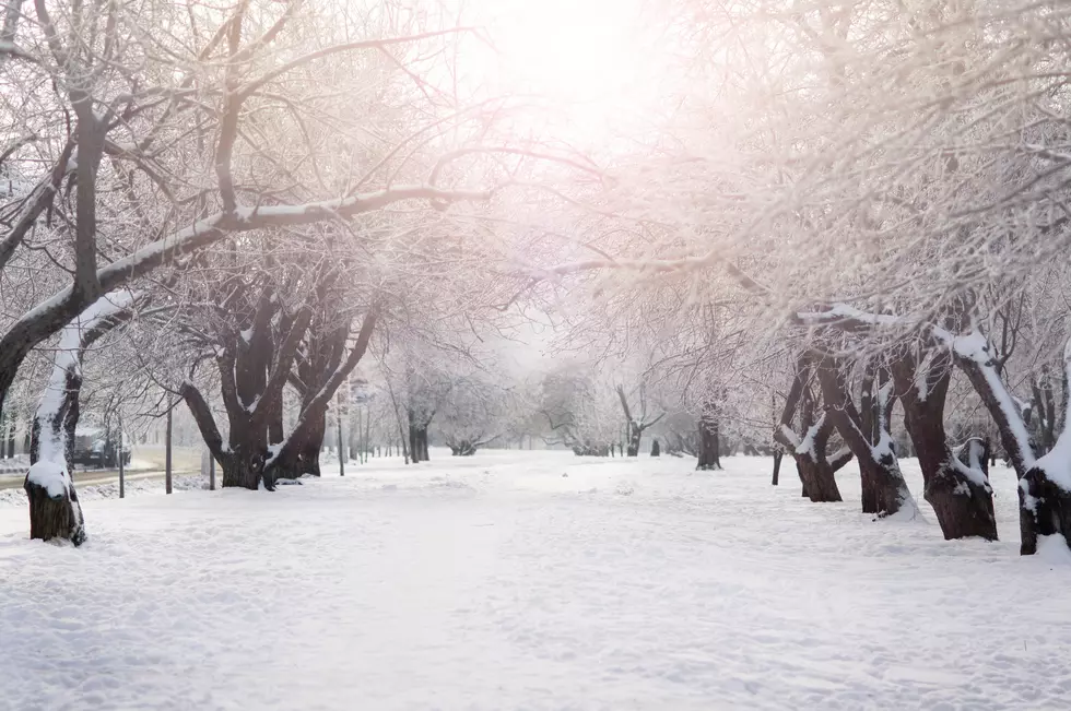 There&#8217;s No Chance Iowa Isn&#8217;t One Of The Snowiest States&#8230;Is There?