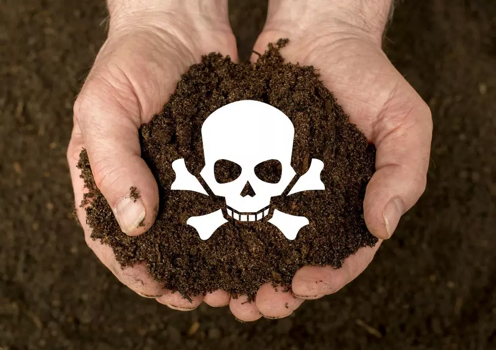Is It Legal To Use Human Remains As Compost In Iowa?