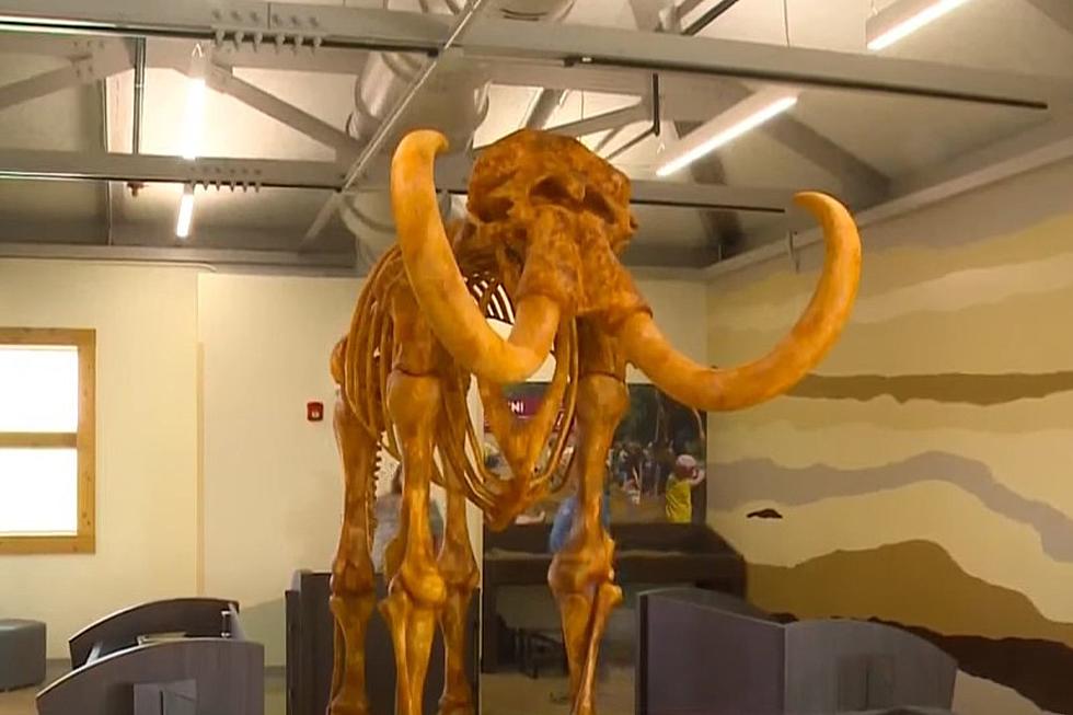 Did You Know There Was A Woolly Mammoth Population In Iowa?