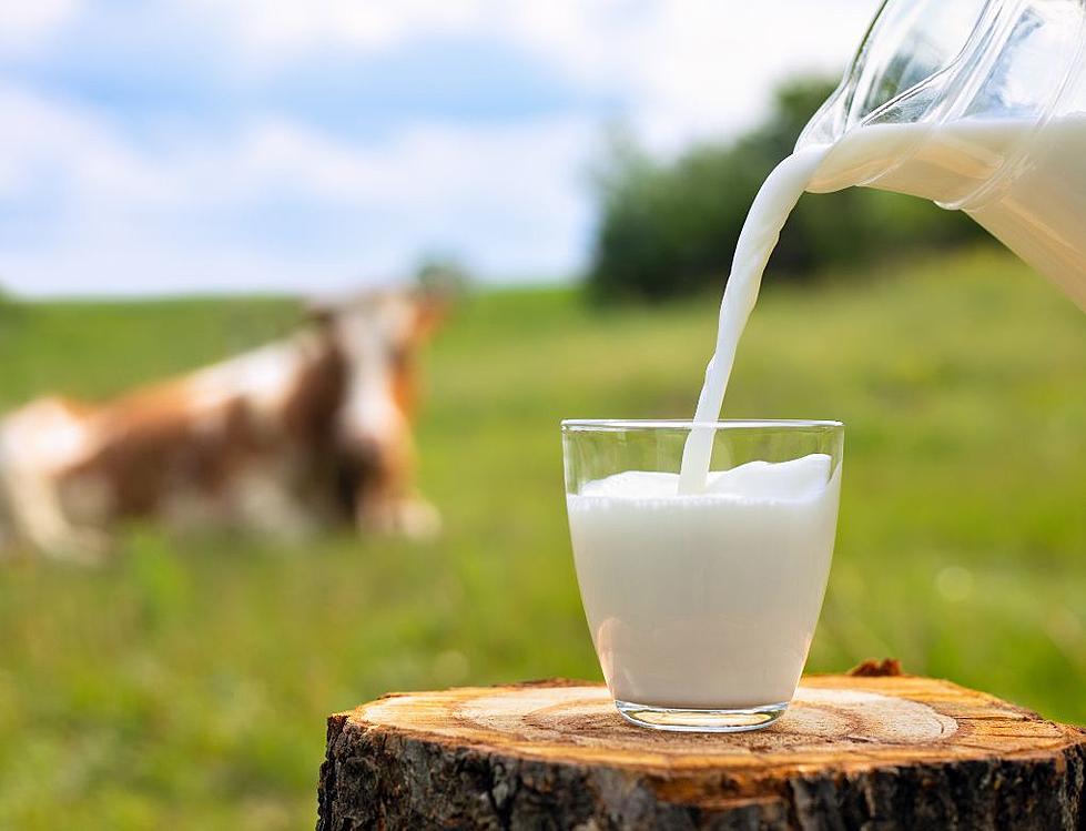 Selling Raw Milk Is Now Legal In Iowa