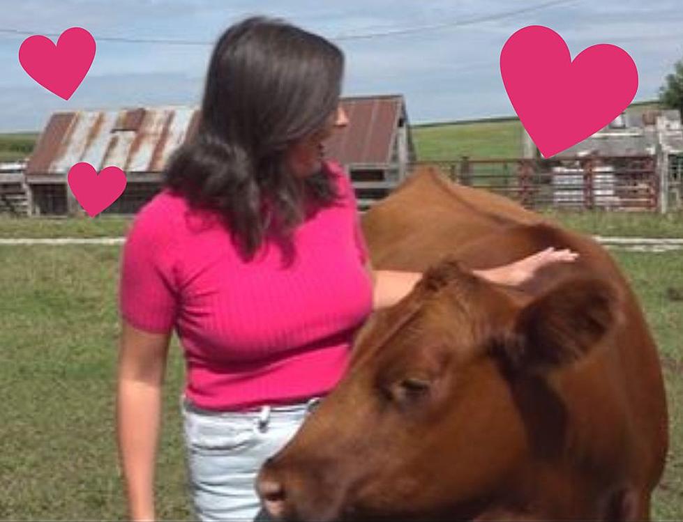 Reporter Caught Off Guard by an Adorable Guest During Live Shot at an Iowa Farm