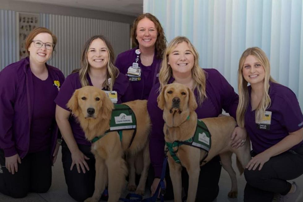 Iowa Children’s Hospital Is Adding New Tail Wagging Staff Members [PHOTOS]