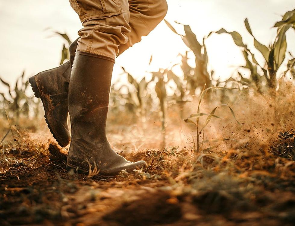 Iowa’s “Mega-Drought” Breaks Astonishing Record Set in the 1950s