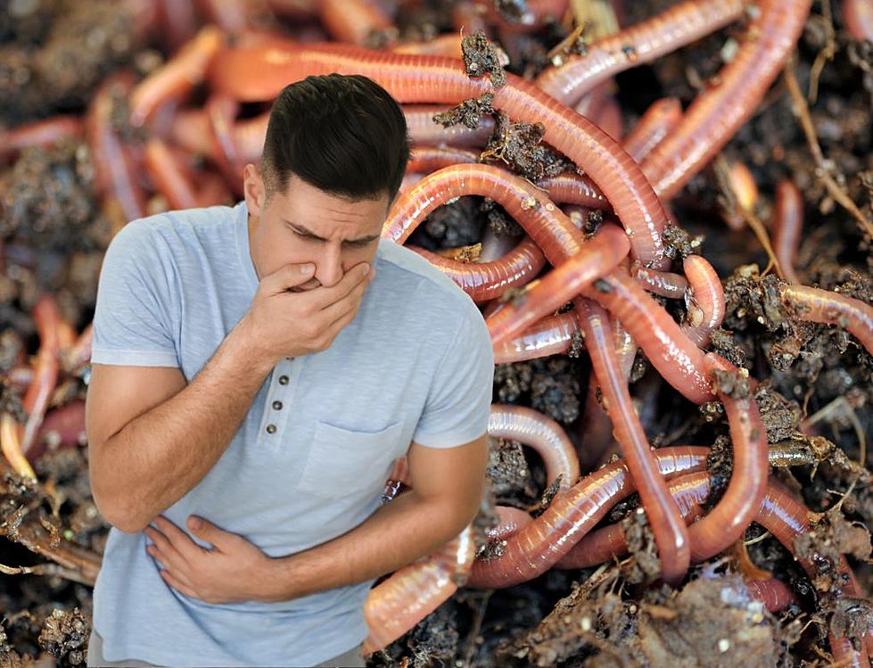 Iowa’s Famous Adventureland Worm Eating Contest Promises Guts and Glory